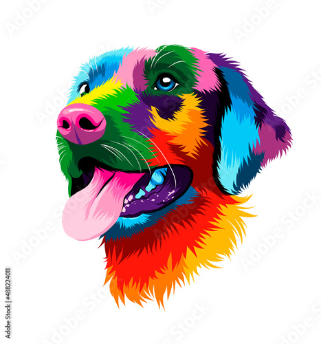 Abstract portrait of the head of a Labrador retriever from multicolored paints. Colored drawing. Puppy muzzle portrait, dog muzzle. Vector illustration of paints