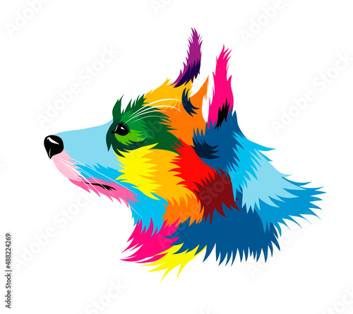 Abstract head portrait of welsh corgi pembroke from multicolored paints. Colored drawing. Puppy muzzle portrait, dog muzzle. Vector illustration of paints