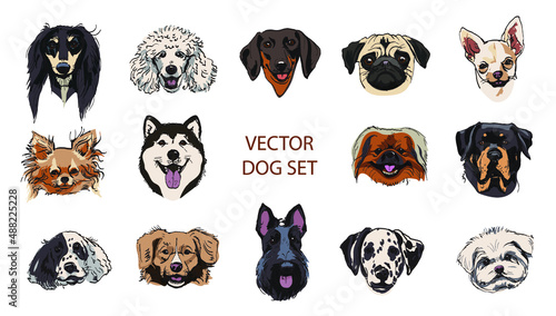 Set of dogs portrait. Hand drawn sketch. Different breeds dalmatian, dachhund, spitz, poodle, terrier, husky, chihuahua, shepherd, mops. Vector illustration isolated on white background.
