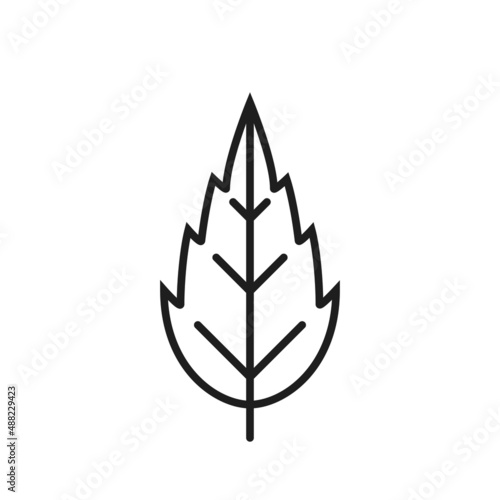 Slika na platnu Narrow dentate leaf line icon
