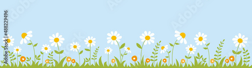 Spring garden. Panoramic background with daisies  plants and grass. Vector illustration.