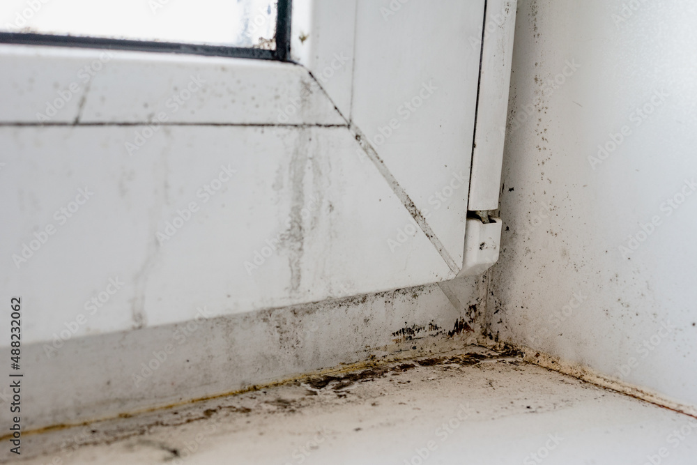Mold and dirt on the windowsill. Dirty plastic window and window sill. Close view. Shallow depth of field. Mold and dirt on the windowsill. Dirty plastic window and window sill. Close view. Shallow depth of field.