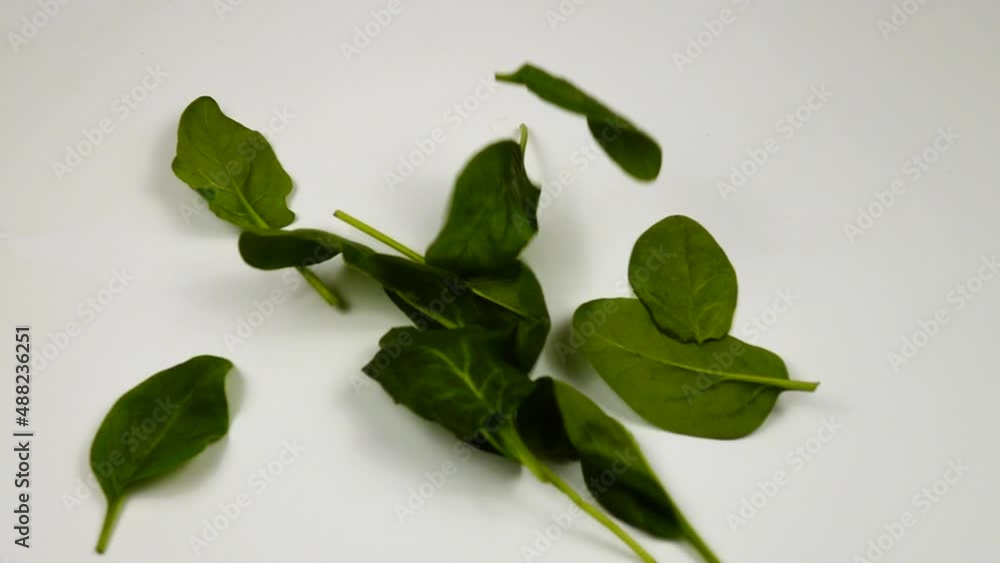 Fresh leaves of young spinach fall on the white table, slow motion Fresh leaves of young spinach fall on the white table, slow motion