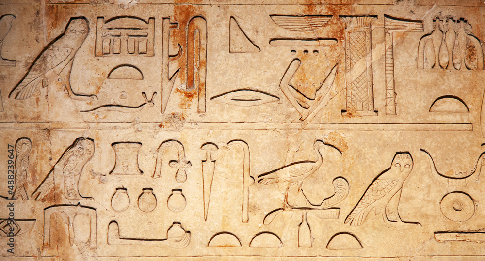 Naklejka premium Hieroglyphs on the wall
