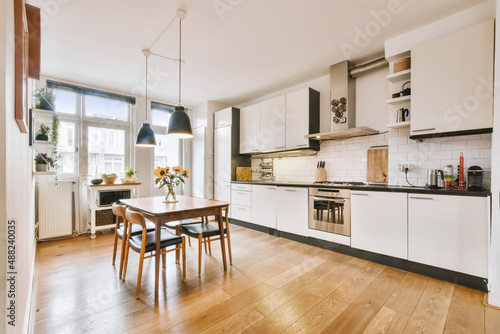 Cozy well designed modern kitchen interior with all appliances