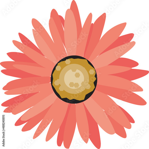 Gerbera Flower Illustration