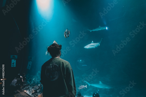 person in the aquarium watching sharks photo