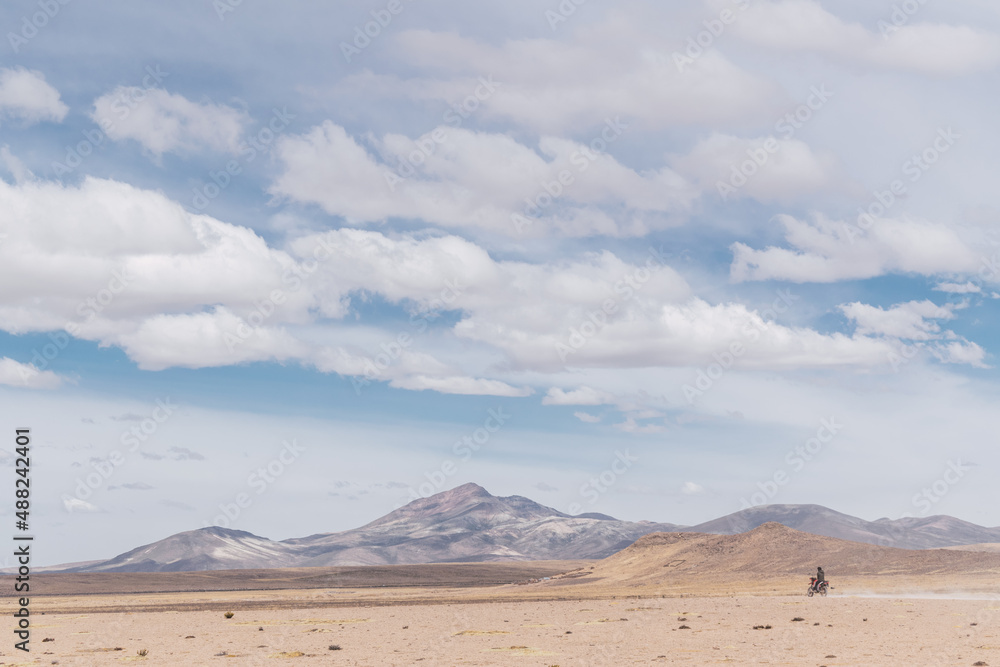 desert of arequipa pampas galeras vicuñas national reserve in the andes mountain range on a sunny day with clouds and blue sky desert of arequipa pampas galeras vicuñas national reserve in the andes mountain range on a sunny day with clouds and blue sky