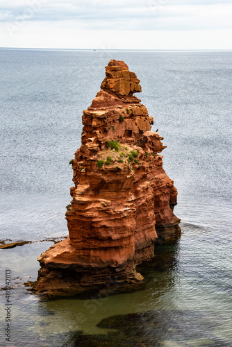 Jurassic coastline