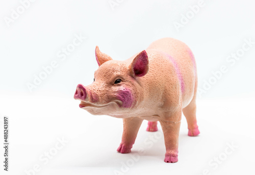 Fotografie A rubber squeaky pig toy, on a white background