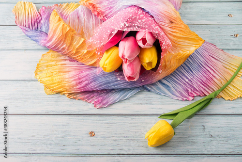 March 8 spring tulips on a colored background. Greeting card photo