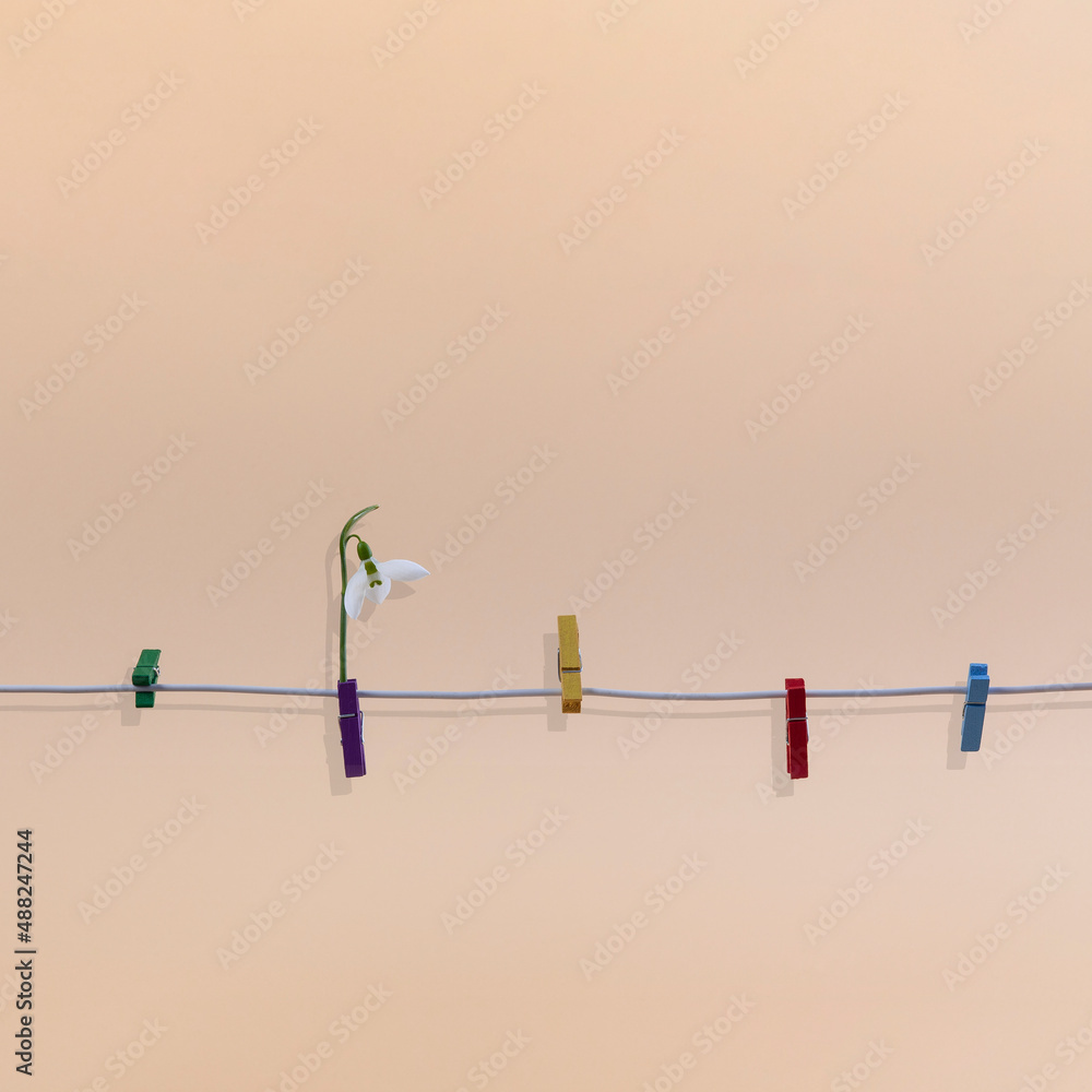Snowdrop dries out after a Spring rain. Composition with colourful mini wooden clothes pins on a cable. Spring composition on a pastel background. Snowdrop dries out after a Spring rain. Composition with colourful mini wooden clothes pins on a cable. Spring composition on a pastel background.