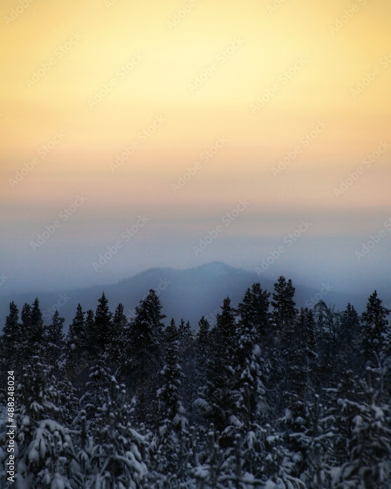 Misty mountain silhouette behind Swedish winter forest