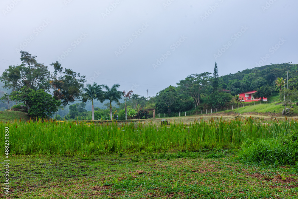 Obraz premium Habitação em meio de floresta, mata Atlântica