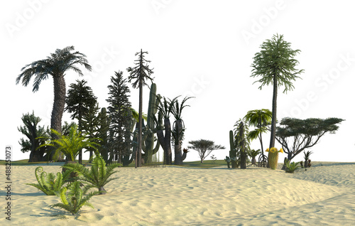 prehistoric forest Mesozoic era background render 3d on a white background