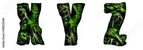 Letters X  Y  Z made from tree roots and moss