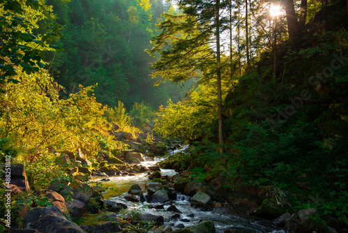 morning spring time sun rise lighting in forest mountain river stream local landscape natural scenic view
