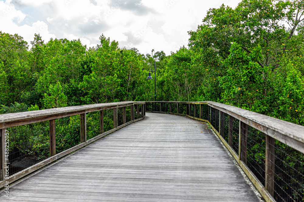 Naples in Southwest Florida Coller County Gordon River Greenway Park wooden boardwalk trail through mangrove swamp forest landscape summer view with nobody