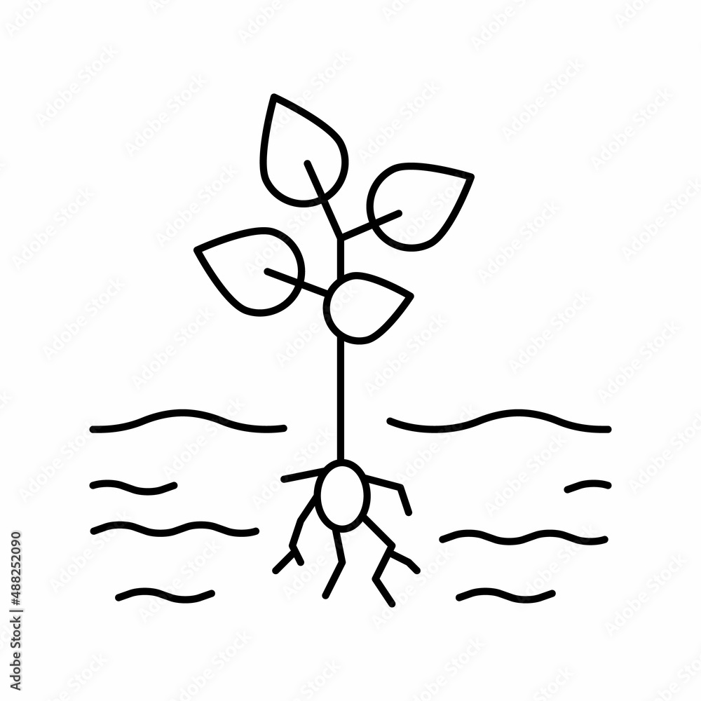 growing plant line icon vector illustration