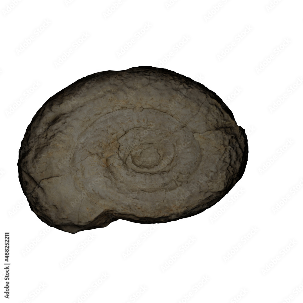 very old trilobite fossil, 3D illustration very old trilobite fossil, 3D illustration