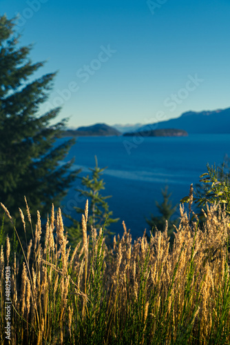 tall grass by the lake and mountains
