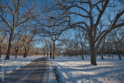 Snow at White Rock Lake, Dallas, Texas.