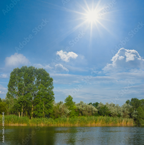 Fototapeta Naklejka Na Ścianę i Meble -  quiet summer river with forest on coast at sunny day, outdoor summer scene