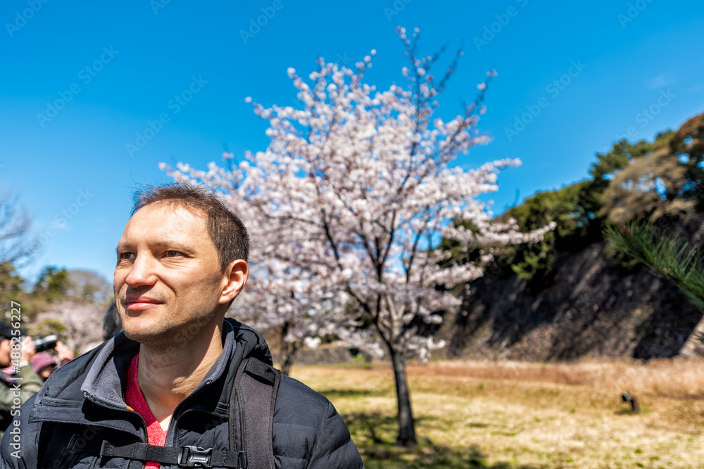 Tokyo, Japan Imperial palace park national gardens with happy tourist foreigner gaijin man by cherry blossom sakura flowers trees blooming during hanami season and blue sky in spring Tokyo, Japan Imperial palace park national gardens with happy tourist foreigner gaijin man by cherry blossom sakura flowers trees blooming during hanami season and blue sky in spring