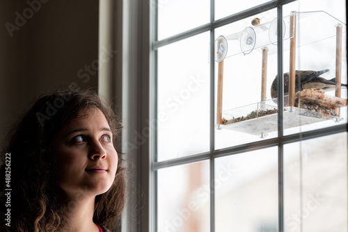 Obraz na plátně Mourning dove bird perched on plastic glass feeder eating nuts seeds in Virginia