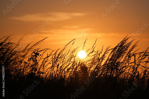 orange sunset 