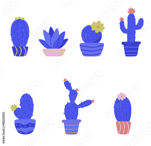 cacti blooming in pots in the color palette of very peri