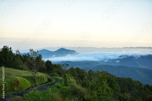 Fototapeta Naklejka Na Ścianę i Meble -  green tree and beautiful nature. The road will be imported into the forest area in Thailand.