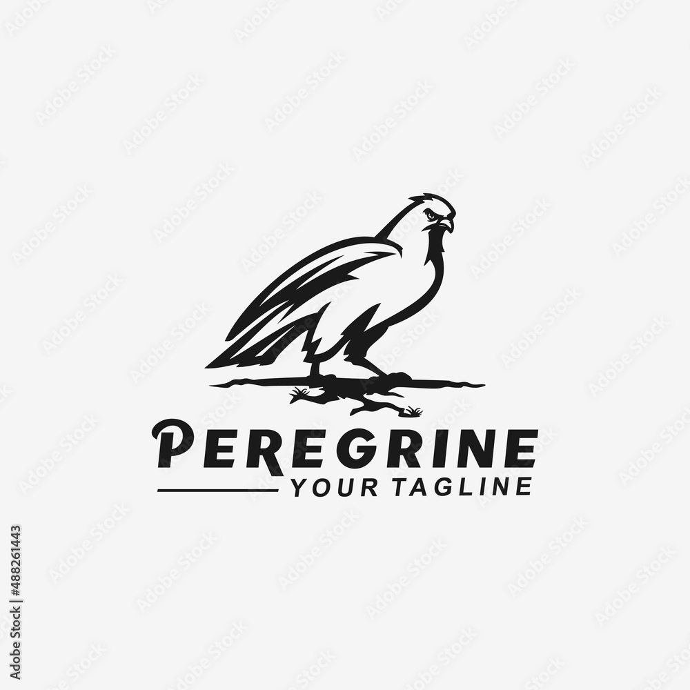 Fototapeta premium Eagle Hawk Raptor Peregrine Bird Vector Logo Design Template Idea