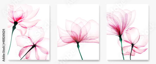Floral watercolor vector art background. Botanical art set with pink flowers for design, decor