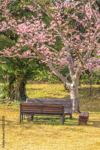 bench in the spring parks