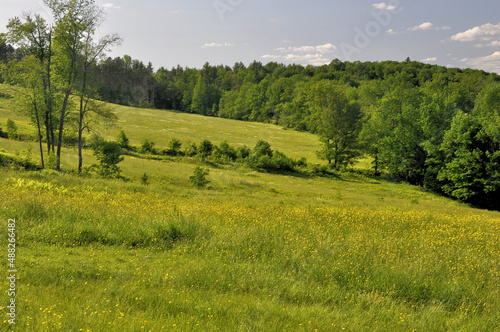 Wall Mural Beauty in nature