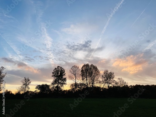 sunset over the field