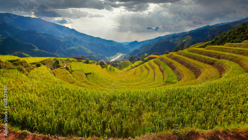 Mu Cang Chai, landscape terraced rice field near Sapa, Vietnam photo