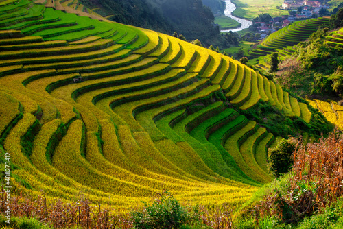 Mu Cang Chai  landscape terraced rice field near Sapa  Vietnam