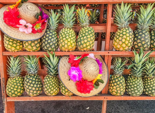 Food stall for piña loca: rum, pineapple, and cream drink at the Food Festival in Juayua, El Salvador photo