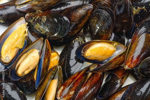 steamed mussels entree. Cooked mussels on white plate on white background deliciousness seafood