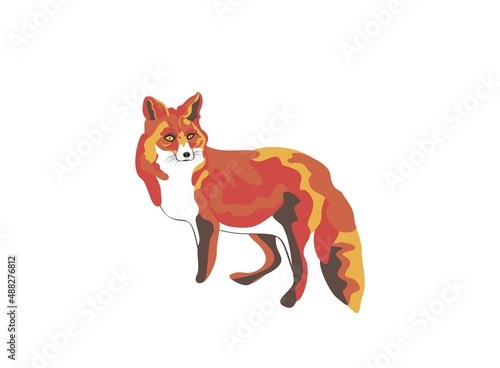 Colorful Fox illustration.Vector snout or muzzle of angry red fox animal hunter, wild canine profile.Bright color abstract spots, pop art painting.