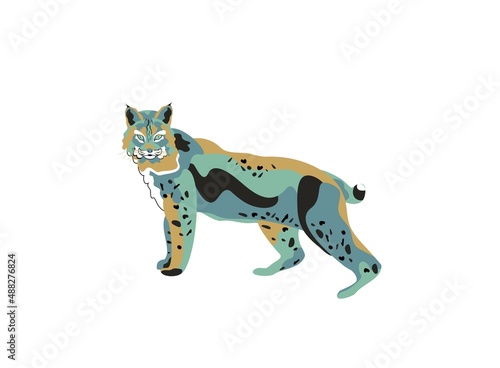 Lynx,wild northern cat illustration.Bright color abstract spots, pop art painting. Vector snout or muzzle of angry animal hunter, wild canine profile.
