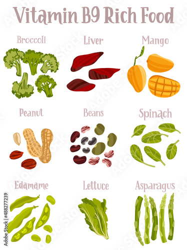 Set of products containing a great amount of Vitamin B9. Folates rich food.
