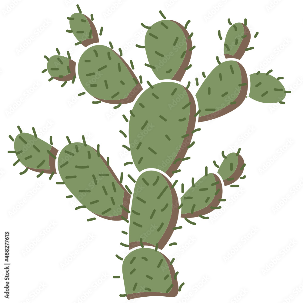 cactus with thorns cactus with thorns