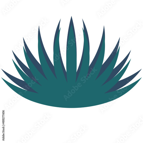 simple vector, agave with thorns