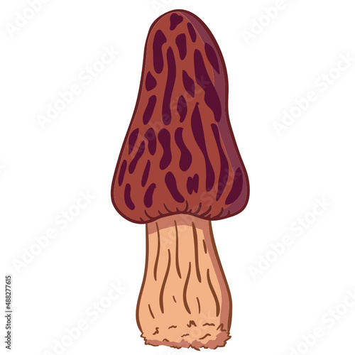 mushroom isolated on white