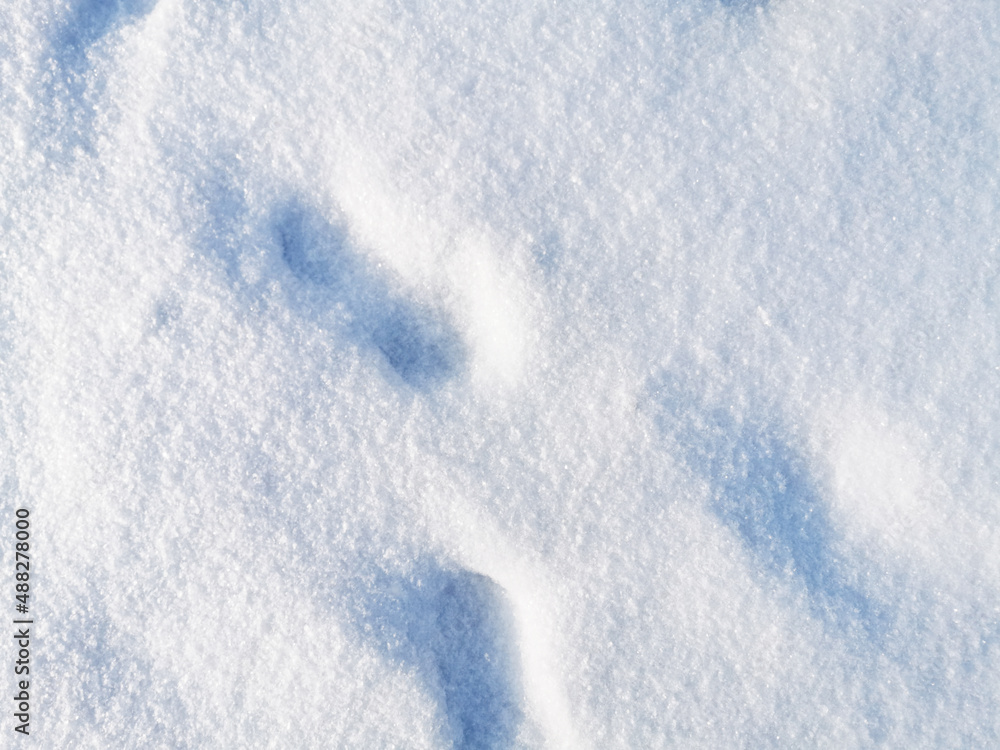 Obraz premium Footprints in snow