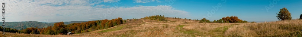 Panorama of autumn tree on a large lawn. Panorama of autumn tree on a large lawn.