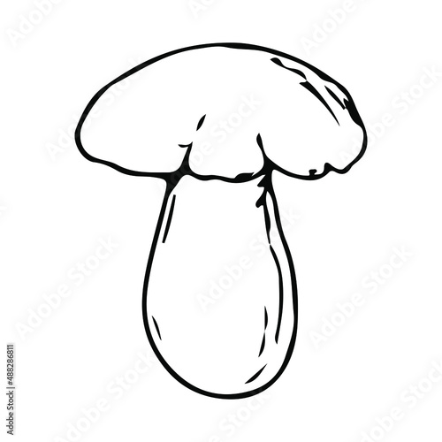 Mushroom. Vector illustration. Isolated on white. Hand-drawn style.